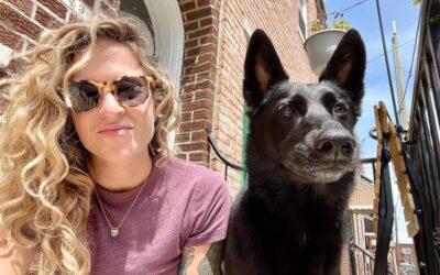 Sporting or Toy – Which category of Dog to get?